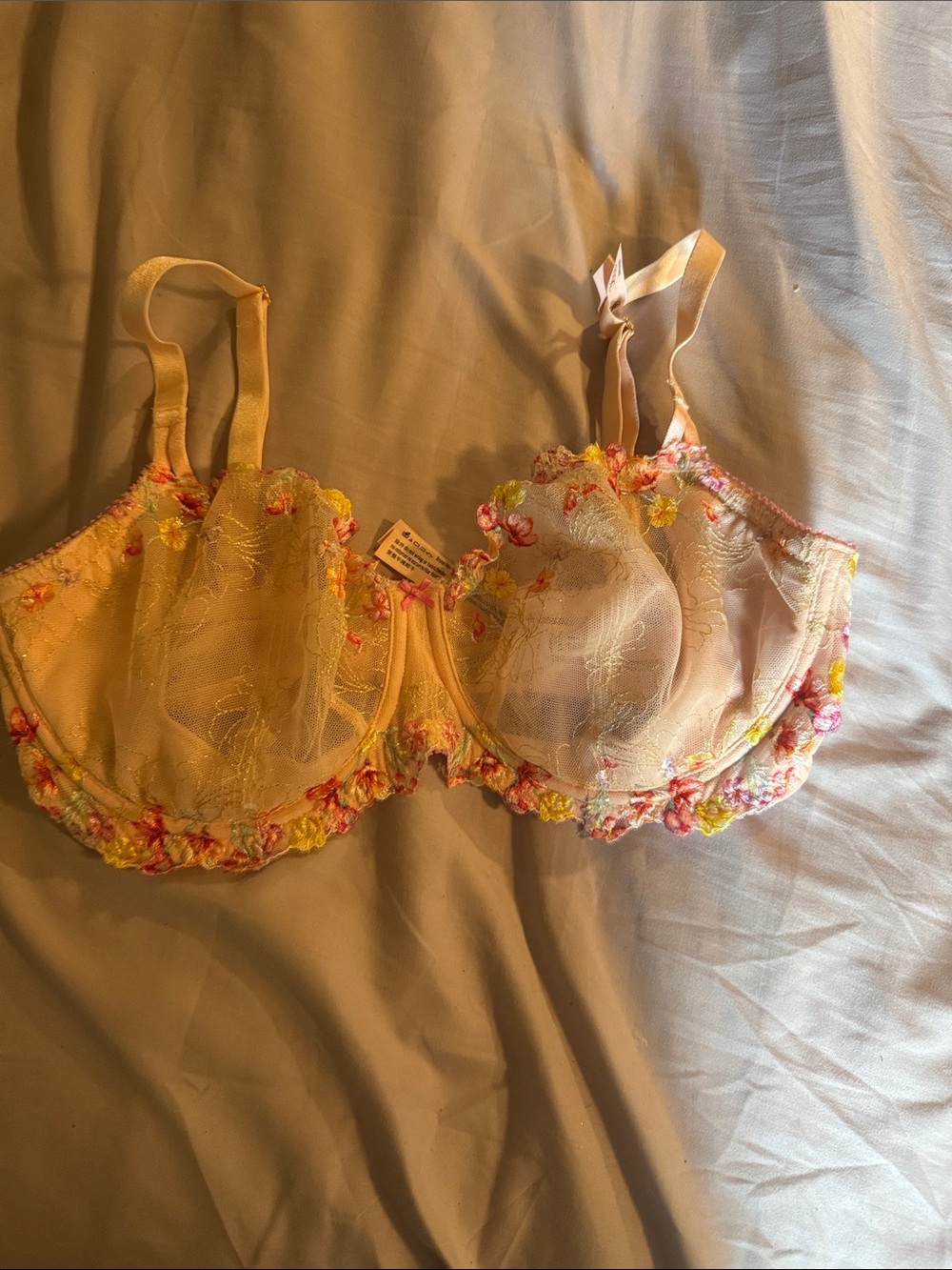 Sheer Embroidered Floral Underwire Bra in Cream